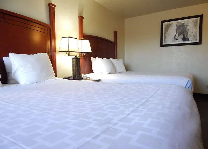 Surestay Plus By Best Western Lawton
