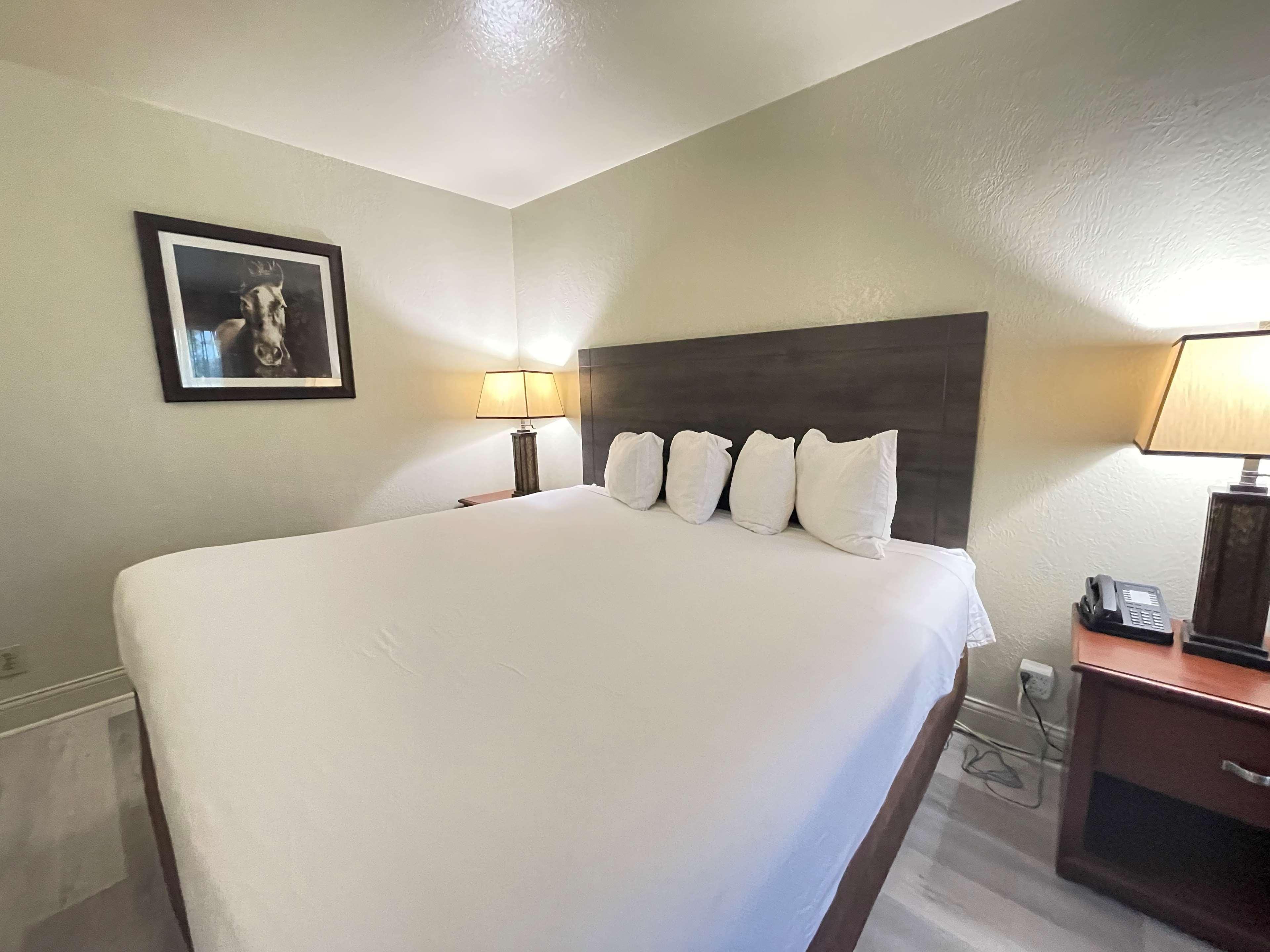 Hotel Surestay By Western