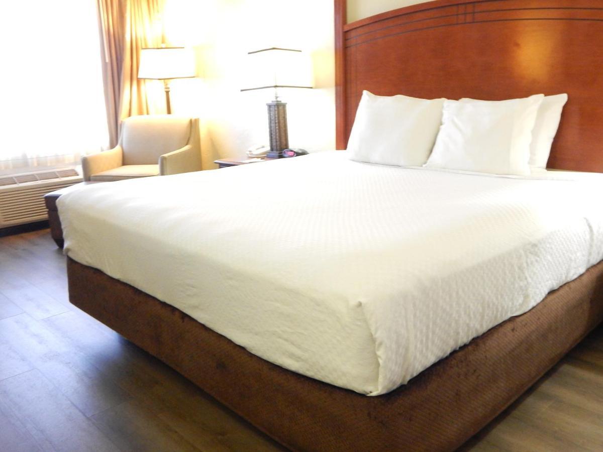 Hotel Surestay By Western